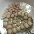 Cooksnap của Doan Thi Diem Trinh khi họ làm theo món Trân châu trắng (bằng bột năng)