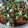 Fary Feroz's cooksnap of when they made Green chilli Piyaz Qeema.