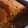 El cooksnap de misabelcamedel cuando hizo Bizcocho de calabaza y avena.