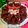 Cooksnap dari Rahma_Bunda Radit & Rafa untuk resep Chocolate Pudding with Vanilla Vla