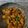 Cooksnap dari Shermaviana Dewi untuk resep Dakgangjeong (Sweet & Spicy Korean Style Fried Chicken)