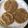 Maitry shah's cooksnap of when they made પુરણ પોળી(Puran poli Recipe in Gujarati).