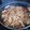 El cooksnap de Yary cuando hizo Tallarines con pollo y verduras.