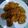 Cooksnap dari emilia untuk resep Ayam Saos Plum