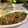 Cooksnap dari Rini Julia untuk resep Beef Teriyaki ala Yoshinoya