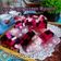 Cooksnap Q'leenalee's Kitchen semasa beliau membuat Agar-agar Cermin Mutiara.