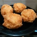 Cooksnap dari Lee untuk resep Bakso goreng (ayam dan ikan)