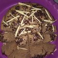 Cooksnap dari Eka Islamiati untuk resep Bolu kukus simpel serba 6 sdm. No mixer no oven