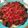 shelzz66's cooksnap of when they made Black Forest Cake.