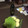 El cooksnap de tamari cuando hizo Romanescu con refrito.