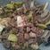 Cooksnap dari Stefanie N. Leihitu untuk resep 126. OSENG2 DAGING LOMBOK IJO ala Ibu
