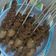 Cooksnap dari Mirna untuk resep Sate usus ala angkringan
