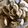 Rowena Tsang 的 薑絲炒蛤蜊 cooksnap