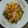 Cooksnap dari Venny. V. untuk resep Cumi asin jagung manis