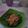 Cooksnap dari Dewi Whulandari(mam nada) untuk resep Plecing kangkung (menu diet)