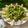 Alpa Pandya's cooksnap of when they made સ્પીનચ પાસ્તા (Spinach Pasta Recipe In Gujarati).