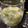 El cooksnap de Ingrid B. 🇨🇱 cuando hizo Mojito Spritz.