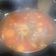 El cooksnap de Jessie Soto cuando hizo Pollo entomatado con papas.