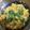 Pinal Patel's cooksnap of when they made બટાકા પૌવા (Bataka Pauva Recipe In Gujarati).