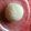 Antara Roy's cooksnap of when they made সাদা ভাত(saada bhaat recipe in Bengali).