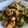El cooksnap de Marieta Murillo cuando hizo Brócoli con pollo oriental.