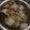 Cooksnap dari Vitasaridewi untuk resep Tumis sawi putih tahu