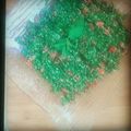صورة من مها حمدي، شاركها بعد تجربة وصفة تبوله على طريقتي🌱⚘