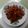 Cooksnap dari Dini Debby .W. untuk resep Terong balado campur teri dan tempe