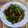 潘俊霖的(簡單料理) 的 塔香炒螺肉 cooksnap