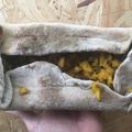El cooksnap de Andrea Schwarzwald cuando hizo Tarta de calabaza (con masa saludable casera) receta vegana.