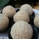 Cooksnap dari Riesna CPS untuk resep 20. Onde Onde Isi Kacang Hijau