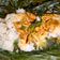 Cooksnap dari Dina Mama Nurisqy untuk resep Nasi Bakar Ayam Suwir Daun Kari