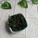 Cooksnap dari Oliveia Faizin untuk resep Pucuk ubi (daun singkong rebus) #tips ala masakan padang