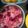 El cooksnap de Sayle Lemos cuando hizo Ensalada Rusa.
