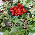 Cooksnap από dcroula στη συνταγή Σαλάτα χριστουγεννιάτικο στεφάνι