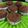 El cooksnap de Pau cuando hizo Muffins veganos de cacao, café y arándanos.