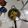 รูป Cooksnap ของ apple เมื่อเขาทำ ข้าวผัดกุนเชียง