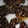 El cooksnap de Chary Fuentes Jurado cuando hizo Donut caseros con Thermomix.