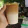 Cooksnap dari Mamaniita bisbull untuk resep (227) Ice Caramel Machiato ala ⭐buck