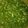 Riya Garg's cooksnap of when they made Coriander Chutney.