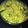 Cooksnap dari Rica Sim untuk resep Guacamole