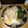 Jared Baker's cooksnap of when they made Fettucine Alfredo 