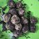 Cooksnap dari Mega Meirina untuk resep Bola bola Marie coklat kacang #pekaninspirasi