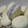 El cooksnap de Sabry D'Agostino cuando hizo Alfajores de maizena (sin harina).