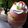 Sheenay Khan's cooksnap of when they made Strawberry Angel Food Dessert.