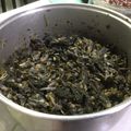 El cooksnap de Claudia Rojas cuando hizo Huitlacoche con elote y acelgas a la Mario, s.