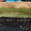 Cooksnap dari Rumi Irfanudin untuk resep Bolu Tape Panggang