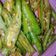 Nitya का कुकस्नैप जब उन्होंने हरी मिर्च का अचार (hari mirch ka achar recipe in Hindi) बनाया था।