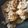 Patcharapa Yaklai's cooksnap of when they made ไก่ซอสครีม.
