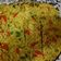 Cooksnap dari maela sari untuk resep Pizza Mie